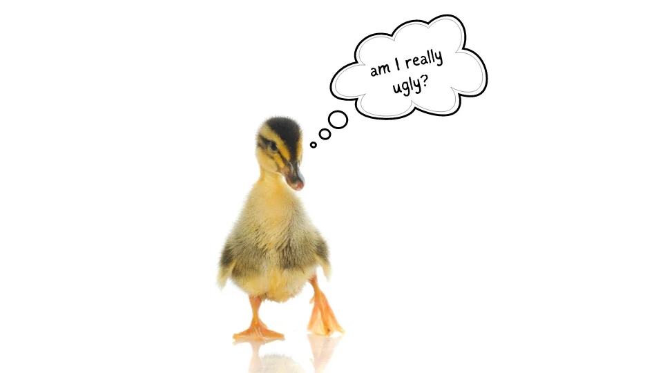 Most people think that the story of ‘The ‘ugly’ duckling’ is for preschoolers. It isn’t. The ’ugly’ duckling was not ’ugly’, he just was in the wrong family and at the wrong time and so people thought he was a misfit.